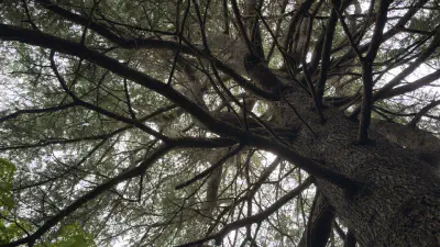 私は自分のなかの呪いを利用されたくない